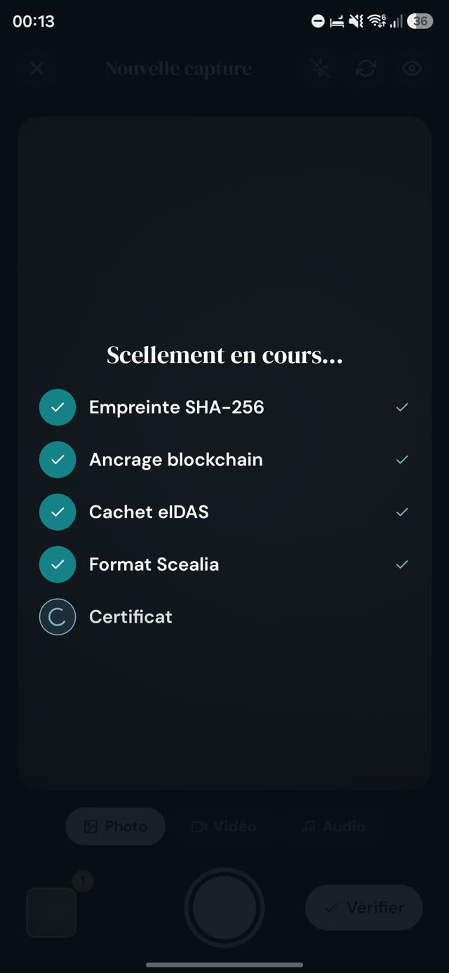 Aperçu de l'application Scealia