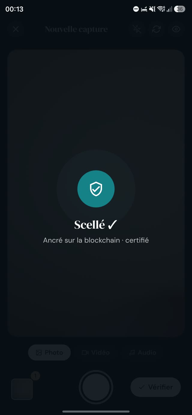 Aperçu de l'application Scealia